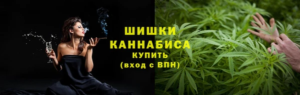 стаф Зерноград