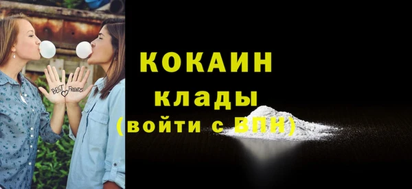 стаф Зерноград