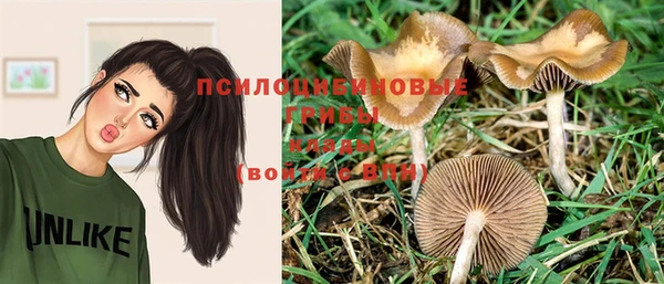 спиды Зеленодольск
