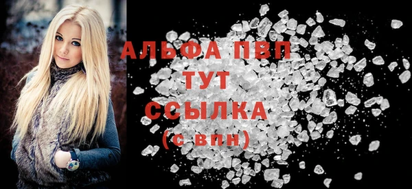 стаф Зерноград